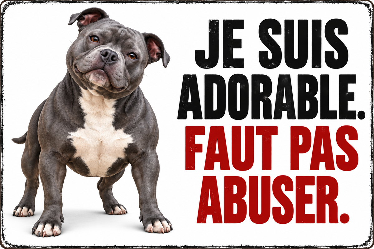 Plaque humoristique staffy Je suis adorable. Faut pas abuser. 30 × 20 cm — fond blanc