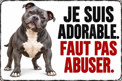 Plaque humoristique staffy Je suis adorable. Faut pas abuser. 30 × 20 cm — fond blanc