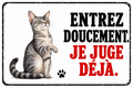Plaque humoristique petit chat gris tigré, Entrez doucement je juge déjà, fond blanc, 30 × 20 cm