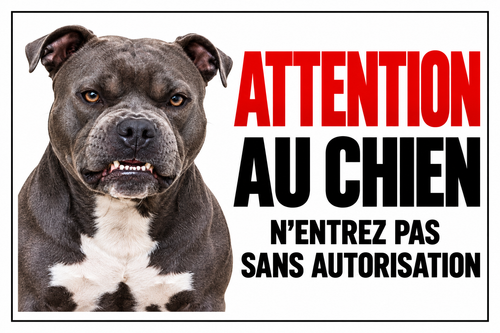 Plaque Attention au chien staffy – N’entrez pas sans autorisation – cadre noir – 30 × 20 cm