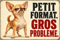 Plaque humoristique chihuahua Petit format. Gros problème. 30 × 20 cm