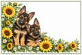 Berger allemand et tournesols – plaque maison sur fond blanc, sans numéro ni nom