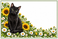 Chat noir tournesols – plaque maison sur fond blanc sans numéro ni nom