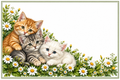 Chatons marguerites – plaque maison sur fond blanc, sans numéro ni nom