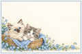 Chatons dans un panier – plaque maison 15 × 10 cm sans texte, zone libre pour numéro et nom