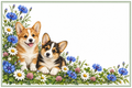Corgis et fleurs champêtres – plaque maison sur fond blanc, sans numéro ni nom