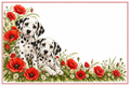Dalmatiens et coquelicots – plaque maison sur fond blanc, sans numéro ni nom