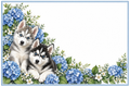 Huskys et fleurs bleues – plaque maison sur fond blanc, sans numéro ni nom