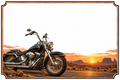 Moto custom noire et chrome esprit biker, décor de plaque maison 15 × 10 cm, zone libre pour numéro et nom — fond blanc